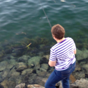Fishy petition against GM salmon