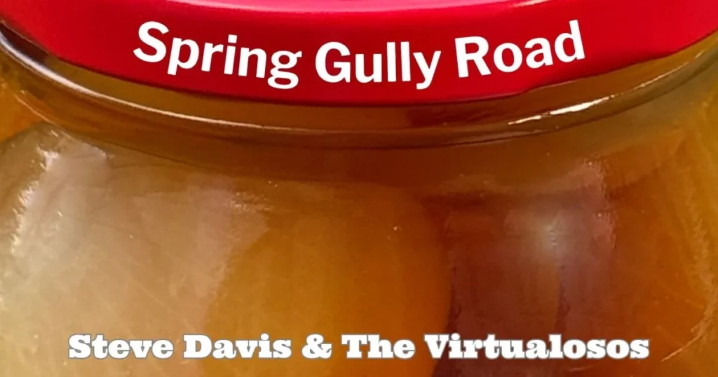 Spring Gully Road by Steve Davis & The Virtualosos