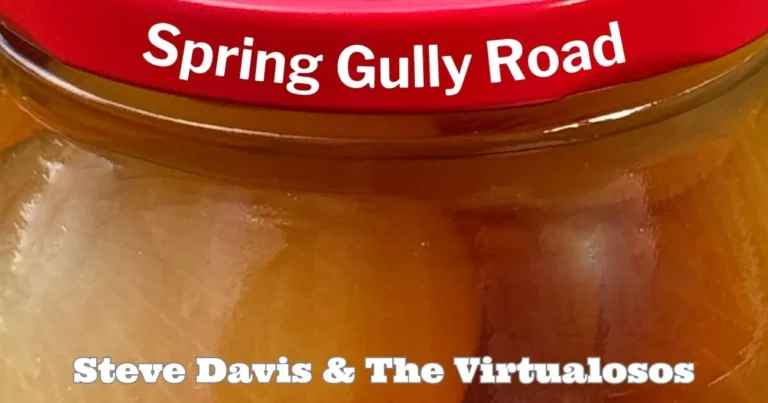 Spring Gully Road by Steve Davis & The Virtualosos